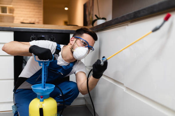 Best Flea Control Services  in Fort Washakie, WY
