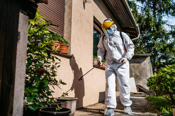 Best Pest Inspection Near Me  in Fort Washakie, WY