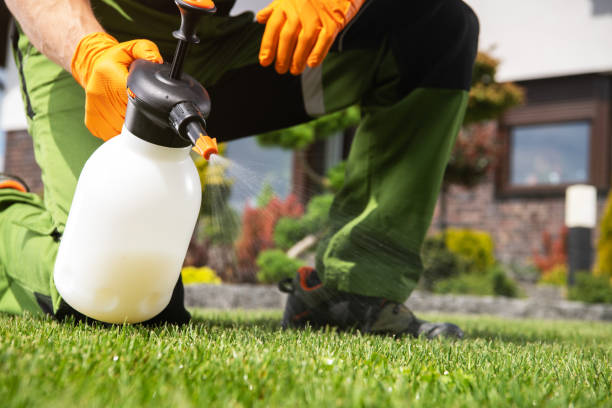 Wasp Removal Services in Fort Washakie, WY