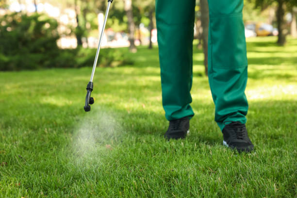 Best Ant Control Services  in Fort Washakie, WY