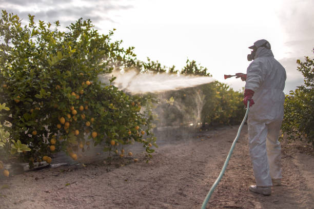 Best Insect Control  in Fort Washakie, WY
