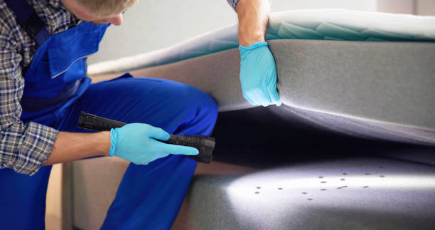 Best Bed Bug Extermination  in Fort Washakie, WY