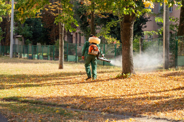 Best Wasp Removal Services  in Fort Washakie, WY
