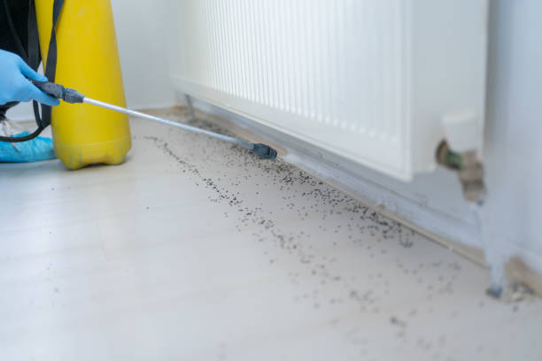 Best Residential Pest Control  in Fort Washakie, WY