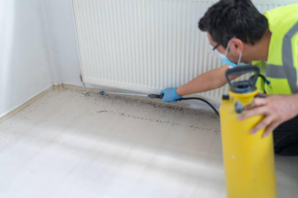 Best Termite Control Services  in Fort Washakie, WY