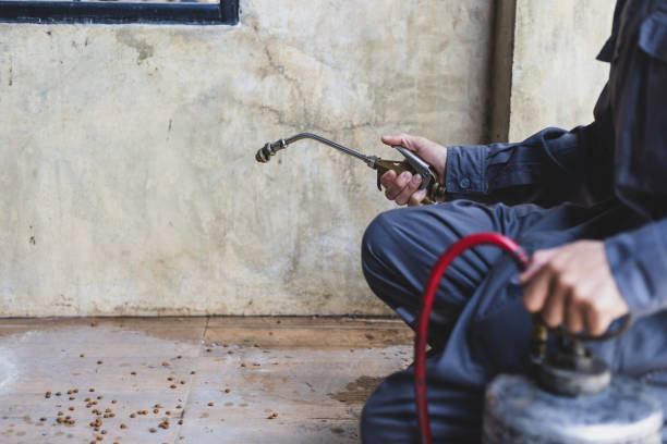 Trusted Fort Washakie, WY Pest Control Experts